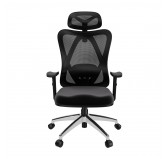 Ergonomic office chair, black + silver legs