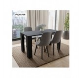 Dining Table, Living Room Table, Office Table, Table Top 2.5 cm, Black, 120x60x75 cm