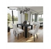 Dining Table, Living Room Table, Office Table, Table Top 2.5 cm, Black, 120x60x75 cm