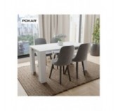 Dining Table, Living Room Table, Office Table, Table Top 2.5 cm, White, 120x60x75 cm