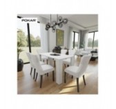 Dining Table, Living Room Table, Office Table, Table Top 2.5 cm, White, 120x60x75 cm