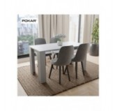 Dining Table, Living Room Table, Office Table, Table Top 2.5 cm, Light Grey, 120x60x75 cm