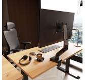 Monitor Arm, VESA-compatible PC Screen Holder, Gas Spring Adjustment