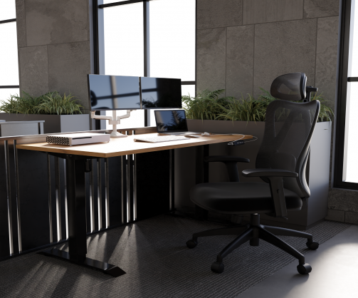 Ergonomic Office Chair - The Key to Health and Comfort at Work